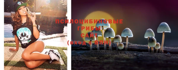 гашик Арсеньев