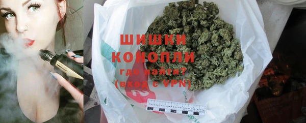 гашик Арсеньев