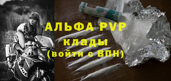 гашик Арсеньев