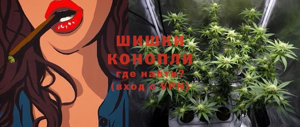 гашик Арсеньев