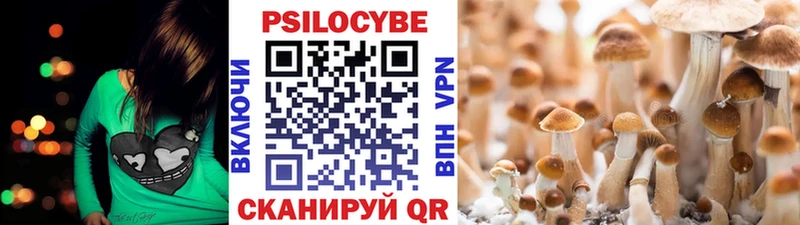 Галлюциногенные грибы ЛСД  hydra ТОР  Мамоново 